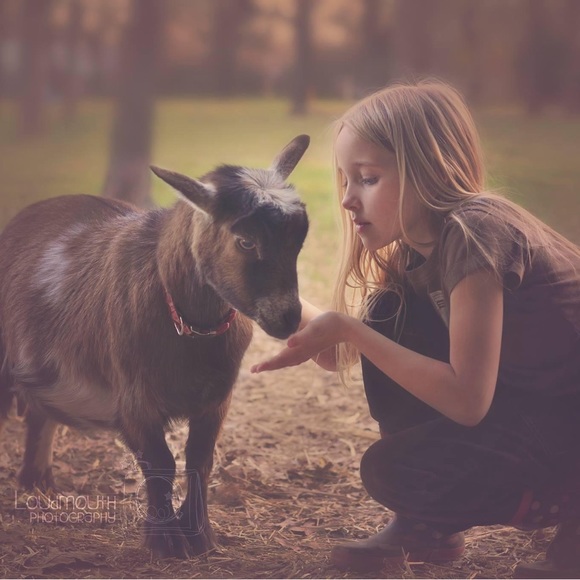 Meet your Posher, Brandy - Picture 3 of 4